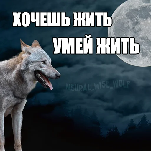 Стикер Telegram «Волчьи мемы» 🐺
