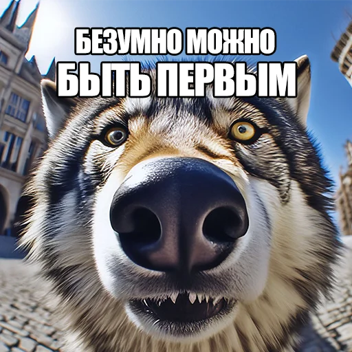 Telegram stiker «Волчьи мемы» 🔝