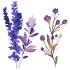Емодзі lavender 🪻