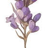 Telegram emoji «lavender » 🪻
