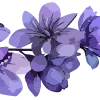 lavender  emoji 🪻