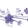 Емодзі lavender 🪻