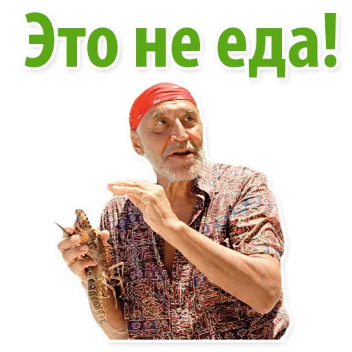 Николай Дроздов (В Мире Животных) sticker 🐥