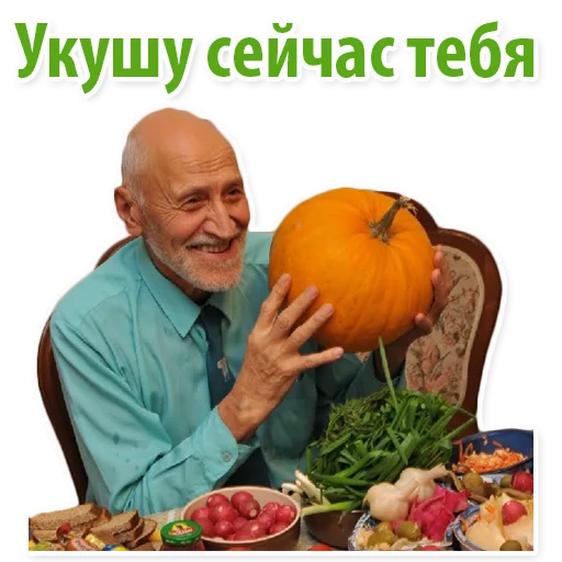 Telegram Sticker «Николай Дроздов (В Мире Животных)» 🦝