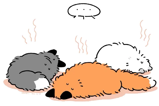 Numsiri fox emoji 🥓