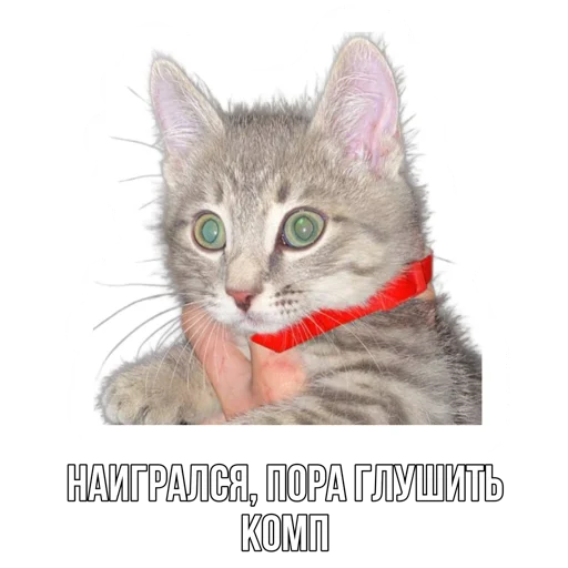 Telegram Sticker «Rush Royale memes» 🙀