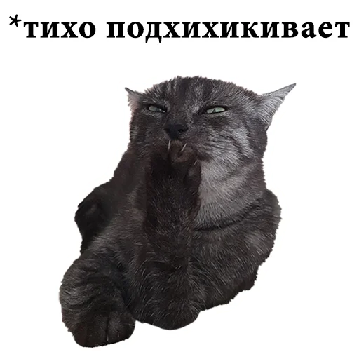 Telegram stiker «onix» 😆