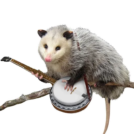 Opossum Coming emoji 😟
