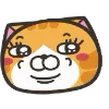 Orange Cat emoji 😚
