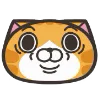 Orange Cat emoji 😮