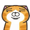 Orange Cat emoji 😒
