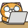 Orange Cat emoji 💻