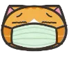 Orange Cat emoji 😷