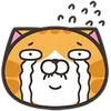 Orange Cat emoji 😭
