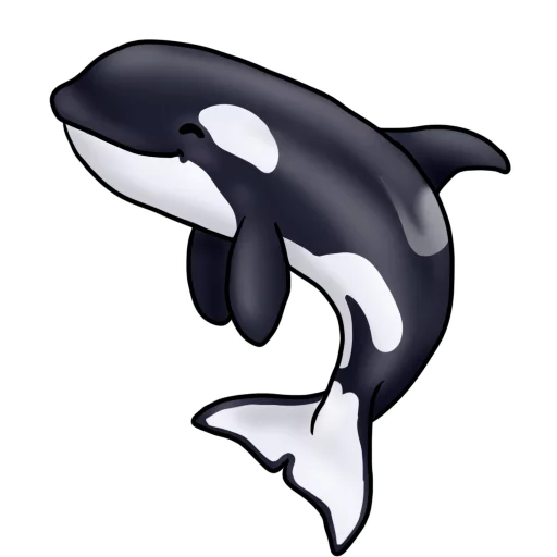 Orcas sticker 😀