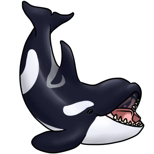 Orcas stiker 😝