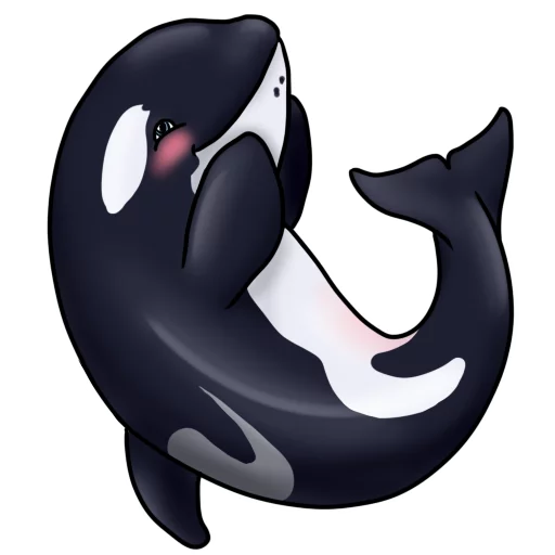Orcas stiker 😚