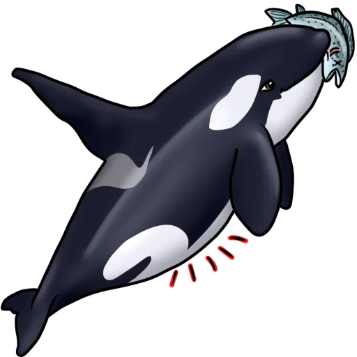 Стикер Orcas 🐟