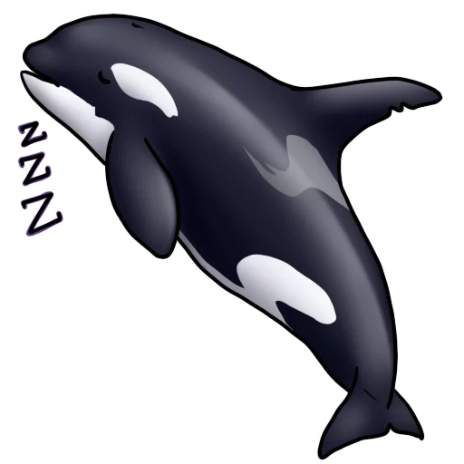 Orcas emoji 😴
