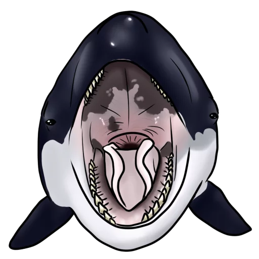 Orcas stiker 🍴