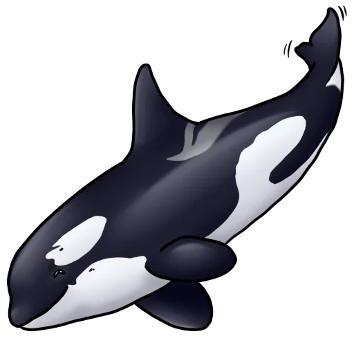 Orcas emoji 🐳