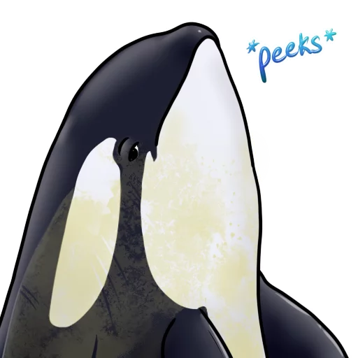 Orcas sticker 👀