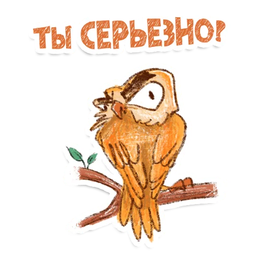 Стикер Telegram «Owl» ?