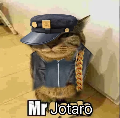 КОТ СМОТРИТ МЕМ - фотографии