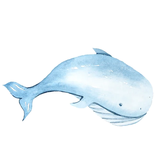 Our Wonderfull Ocean emoji 🐳