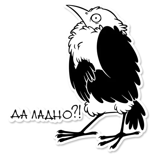 OWL sticker 😁