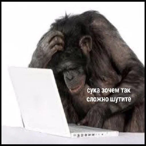 Telegram stiker «П остирония» 🐵