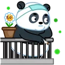 Panda Emic sticker 😟