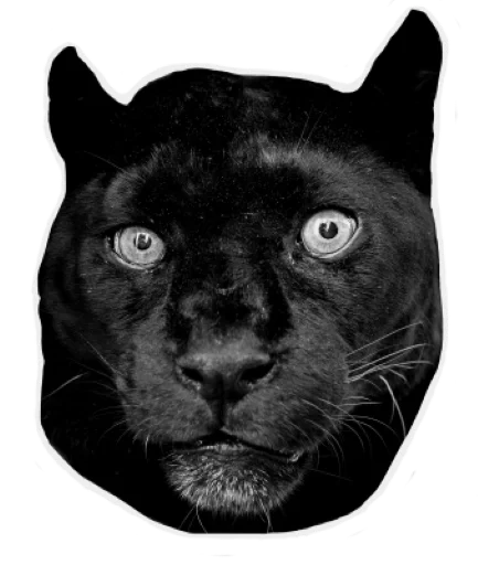 Panther emoji 😐