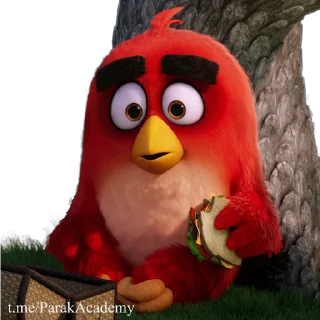 Стикер Angry Birds 😉