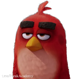 Angry Birds stiker 🙄