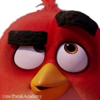 Angry Birds sticker 😏