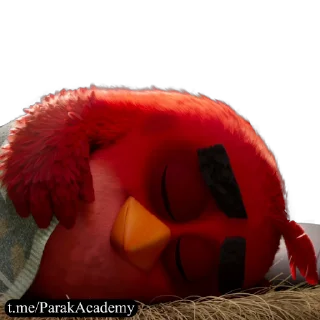 Стікер Angry Birds 🌃