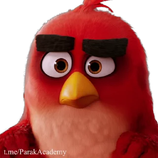 Angry Birds sticker 🤨