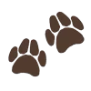 Емодзі Paws Collection 🐾
