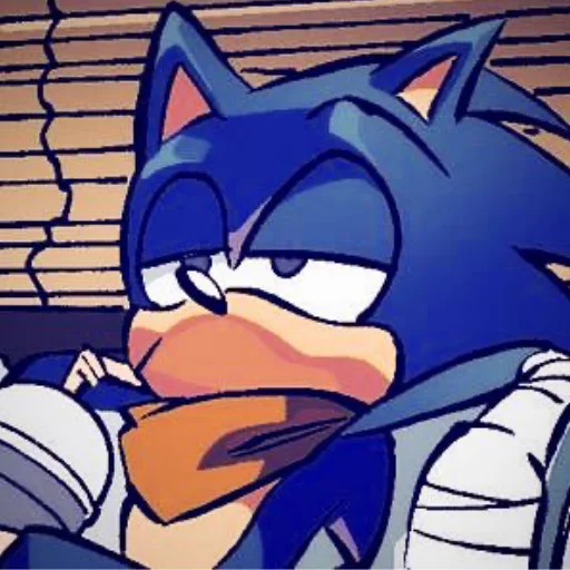 Sonic.biches sticker 🙄
