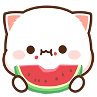 Peach Cat Mini Emojis  sticker 🍉
