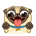 Telegram emoji Penny Pug