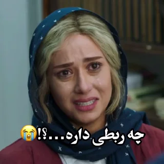 Persian memes emoji 🥳