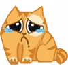 Емодзі Persik Spotty Emoji 😢