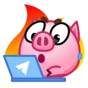 Pig stickers emoji 💻