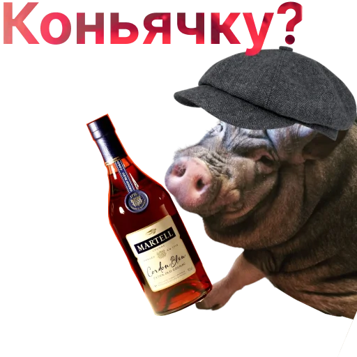 Свинья-Кулинар sticker 🥃