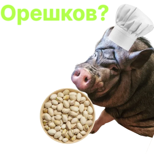 Свинья-Кулинар emoji 🍪