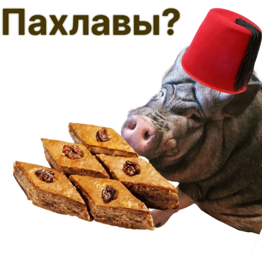 Свинья-Кулинар sticker 🍪