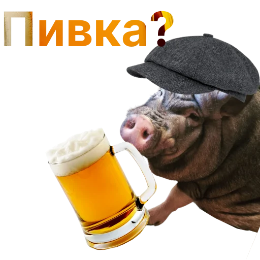 Свинья-Кулинар sticker 🍺