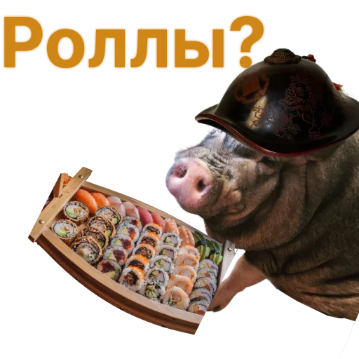 Свинья-Кулинар sticker 🍱